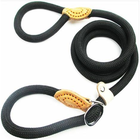 1,5 m lange Nylon-Hundeleine, schwarze Seil-Hundeleine, Trainingsleine, Gleitleine, Lasso-Leine für Hunde, Hundehalsband-Leine für kleine und mittelgroße Hunde (1/4)