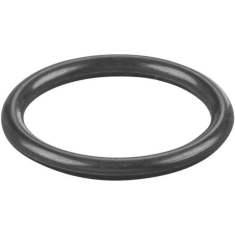 Rems O-Ring 060143