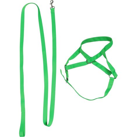 Licol Pour Veaux Licol Pour Bovins Pour Poulain Sevré Avec Corde Pour Veaux (1/5)