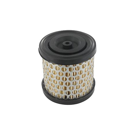 Filtro dell'aria adattabile per Briggs & Stratton: Serie 60100, 80200, 80300, 80400, 81200, 81300, 81400, 82200, 82300, 82400, 9250