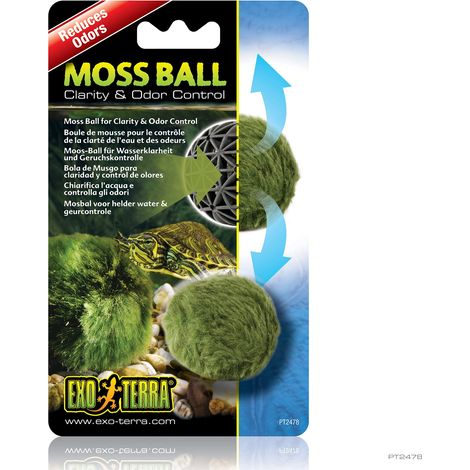 Bola de Musgo Exo Terra