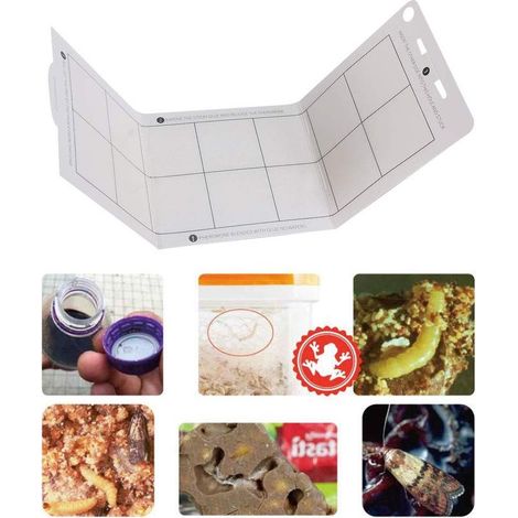 6 Pièces Piège à Mites, Piège à Colle Papillon Alimentaire, Pièges à Phéromones Anti-Mites Alimentaires. (1/5)