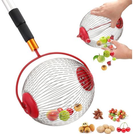 Roller Nut Gatherer, Acorn and Chestnut Collector 1-5 cm, Garden Tool for Fruit, Nuts and Golf Balls (23x19cm) (1/5)