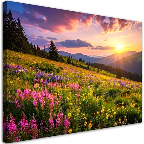Cuadro sobre Lienzo, Prado flores paisaje de montaña naturaleza, 90x60 (1/5)