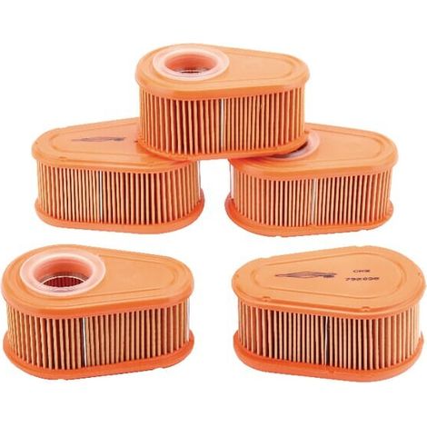 Filtro de aire Briggs y Stratton - 4245 (1/3)