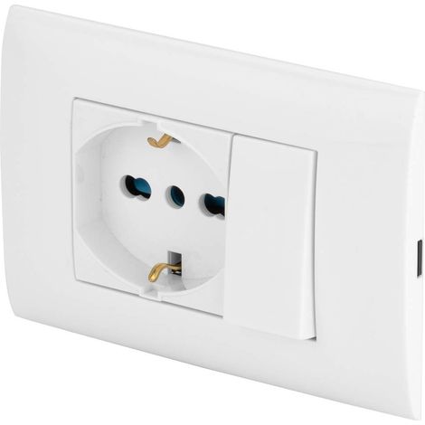 Plaque avec boîtier de 3 modules avec insert de dérivation électrique et prise multistandard - Kit de montage avec support et vis de montage (1/5)