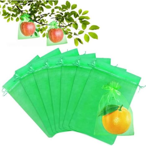 30 x 20cm 100 pièces Sac Protection Fruits Sacs Filets Protection des Grappes de Raisins Contre Les Oiseaux et Insectes (Vert) (1/4)