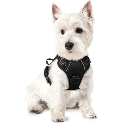 Schwarzes Hundegeschirr, Größe S, Brustumfang 34–63 cm, 1 Stück, verstellbar, gepolsterte Hundeweste, Polyester, Haustierweste