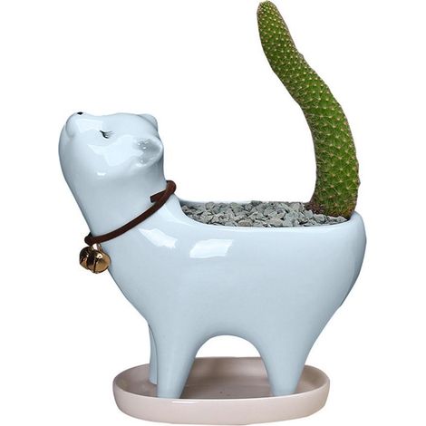 Pots de Cactus en Céramique avec Trou de Drainage - Mini Pots pour Plantes Succulentes, Décoration Maison et Bureau (1/5)