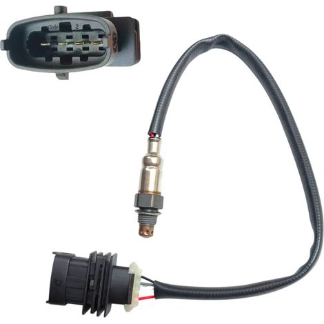 Anwendbar auf die Sauerstoffsensoren PULSAR FI180, FI160 und DOMINAR 250 (1/2)