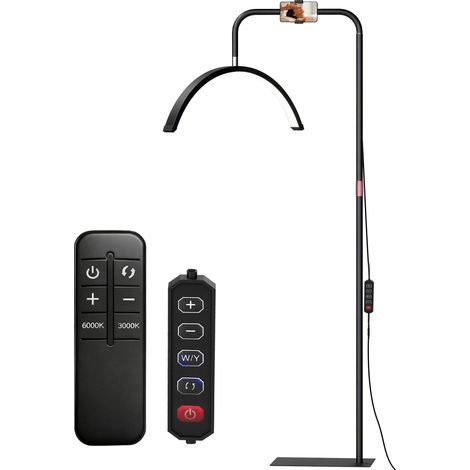 Lampadaire Amval LED rotatif réglable noir (1/5)