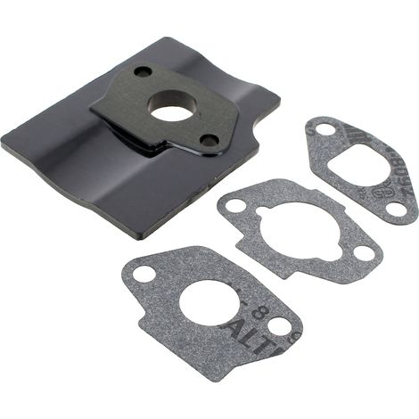 Dichtungssatz Vergaser 118550699/0 für Rasenmähermotor ggp