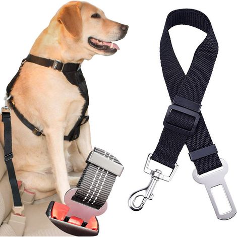 Cinturón de seguridad, correa para coche para perro o gato.