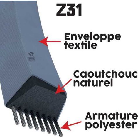 Courroie tondeuse Z31 Trapézoïdale - 10 mm x 825 mm (1/4)