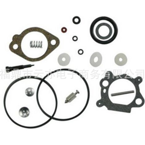 Vergaser-Reparatursatz kompatibel mit Quantum 492495 493762 498260