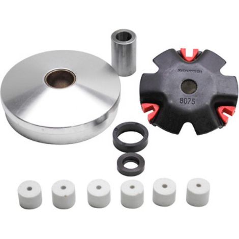 Variator Malossi für Moped Peugeot 50 103 rcx 51 7123 / Multivar (1/4)