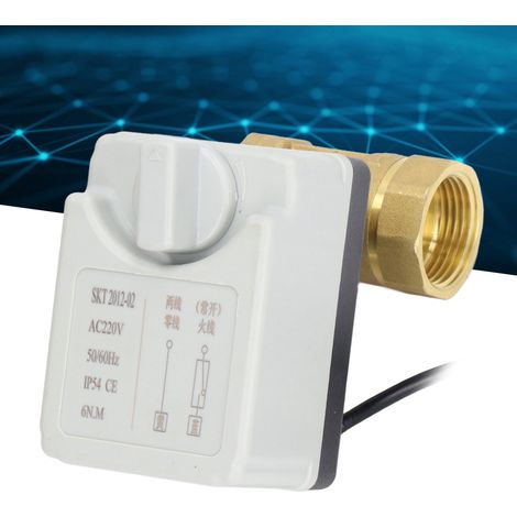 Vanne à bille DN25 à deux voies, manuelle/automatique, vanne électrique à deux fils AC220V normalement ouverte (1/5)