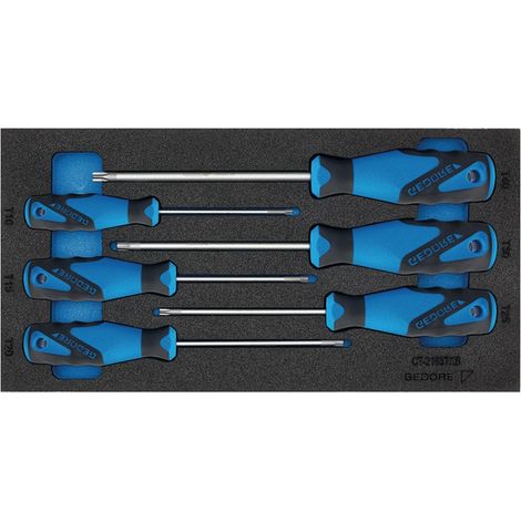 Gedore Werkzeugmodul 1500 CT1-2163 TX 6-teilig 1/3-Modul - 2309157 (1/4)