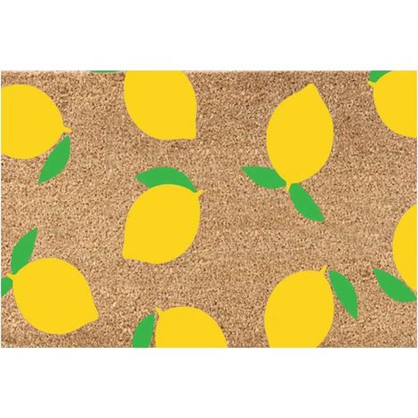 Tapis D'Entrée - 40 x 60 cm - Antidérapant - Absorbant - Lavable - Pour Porte d'Entrée Intérieure ou Extérieure - 1 Pièce (1/4)