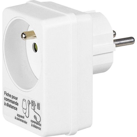 Fiche double fonction 2P+T 16A 250V avec commande déportée 16A avec éclips de protection (050362)