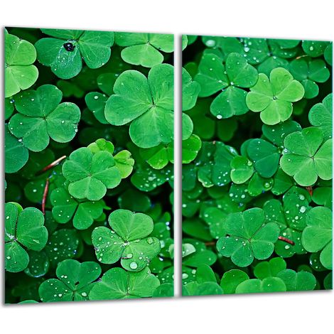 Tabla de cortar de vidrio 2x 30x52 verde (1/5)