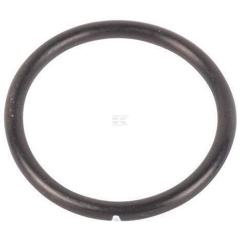 O-ring CASE IH 235760