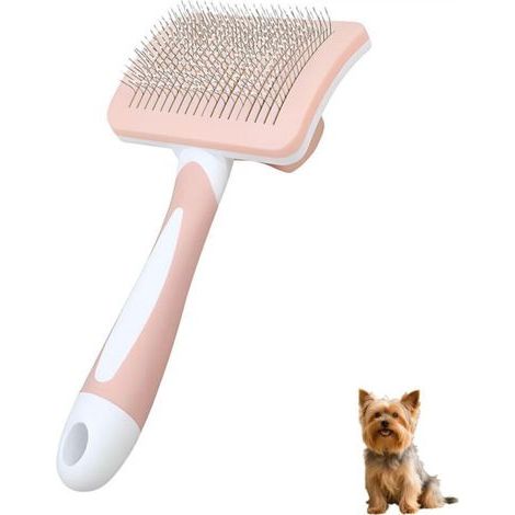 [JAMAIS UTILISÉ] Brosse autonettoyante adaptée aux petits chiens à poils longs, épilation en un clic, indispensable pour les chiots, ajustement Yorkshire Terrier, Shih Tzu, Maltais, Maltipoo, Pomérani (1/4)