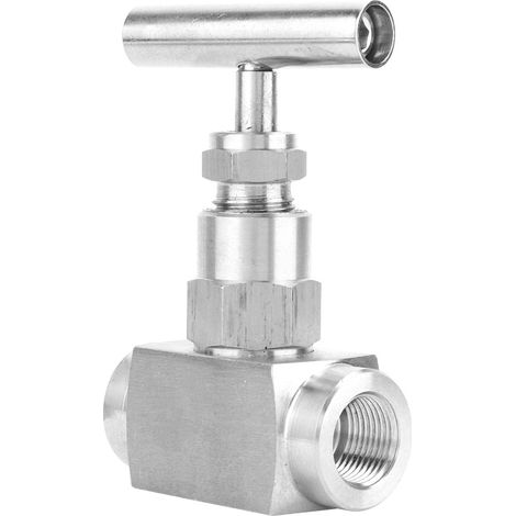 Vanne à aiguille droite en acier inoxydable BSPP à filetage femelle pour la transmission d'eau (3/8 po) (1/5)