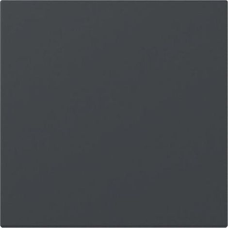 Gira WIPPE GERADE ANTHRAZIT (349628 SYSTEM 55)