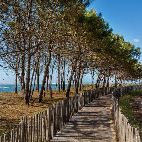 Tableau sur toile chemin d'Arcachon 30x30 cm - Impression sur Toile Murale Décorative - Image imprimée en HD sur Toile - Toile sur Châssis en Bois FSC - Fabriqué en France