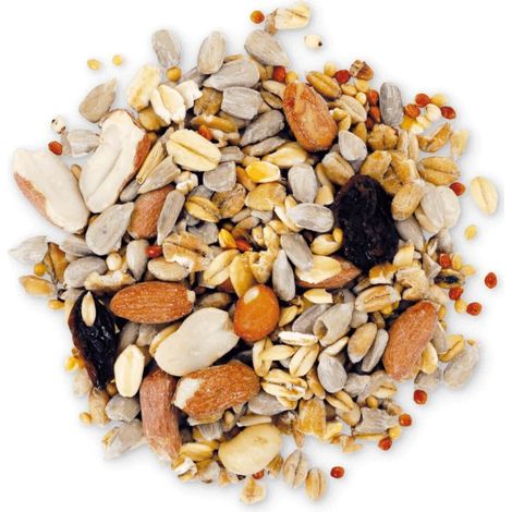 Agrarshop Sans coquille Eco 25 kg Nourriture pour oiseaux Toute l'année Oiseaux du jardin