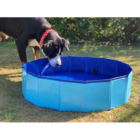 Hundepool faltbar 80x20cm Badewanne Schwimmbecken Swimmingpool Planschbecken Hundebad (1/5)