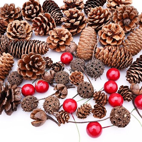 TSLBW 150 Stück Weihnachtszapfen und rote Beeren, natürliche Tannenzapfen für DIY-Bastelarbeiten, Weihnachtsgirlanden, Weihnachtsbaumschmuck, Weihnachtsfeier-Ornamente, Winterdeko (1/5)