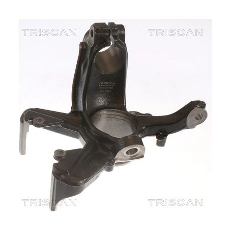 Fusée d'essieu, suspension de roue Triscan 8500 29702 AUDI 1J0 407 256 H