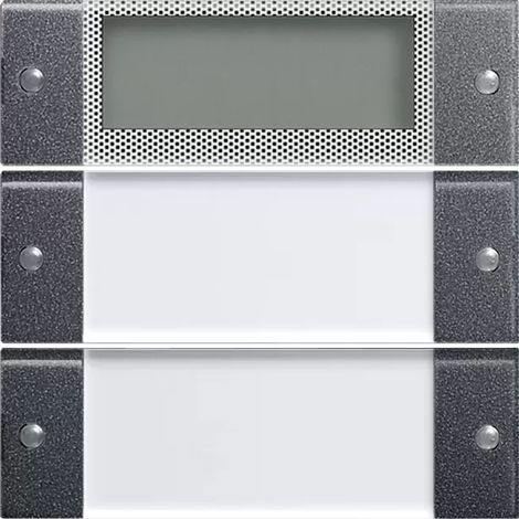 Gira Wippenset 2f Plus BSF System 55 Klar/Anthrazit 214228 (1/2)