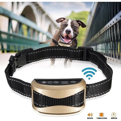 TEMPSA Collier Electrique Dressage Anti Aboiement Pour Chien Chat Etanche Rechargable (1/4)