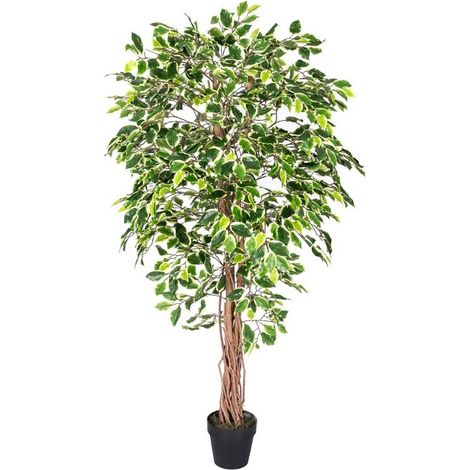 HOMESCAPES Variegated Green Ficus Tree Artificial Plant with Twisted Trunk, 6 Ft