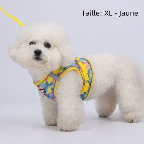 Filiyano-Harnais pour chien - Confortable - Léger - Réfléchissant - Respirant - Jaune XL (1/5)