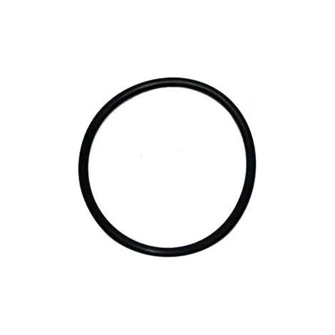O-Ring für den Boden des Waschbeckensiphons