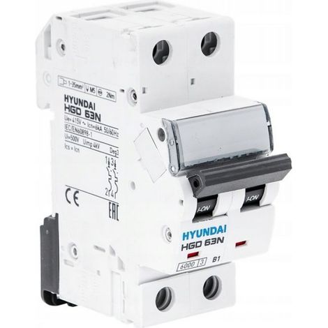 Disjoncteur 2P - 25 A - Courbe B - Pouvoir de coupure 6 kA - Pour tableau électrique domestique - 1 pièce (1/2)