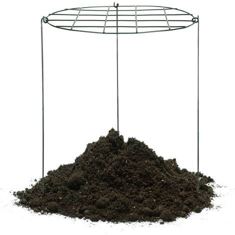 Support à plantes en métal fer en forme de grille pour jardin, support pour fraisiers, tuteur pour plantes (1/5)