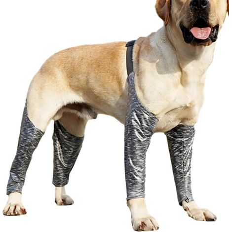 Dog Recovery Sleeves, Dog Boot Leggings, Waterproof Dog Support (1/5)