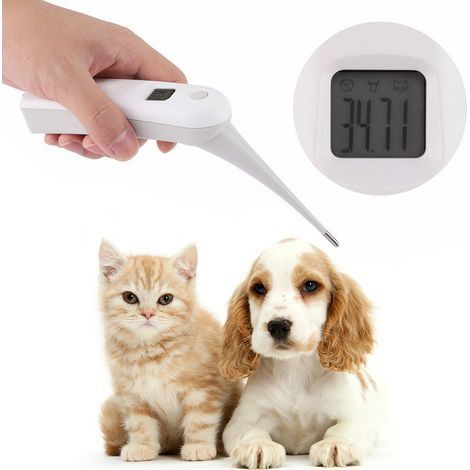 Thermomètre vétérinaire numérique électronique pour animaux (1/5)