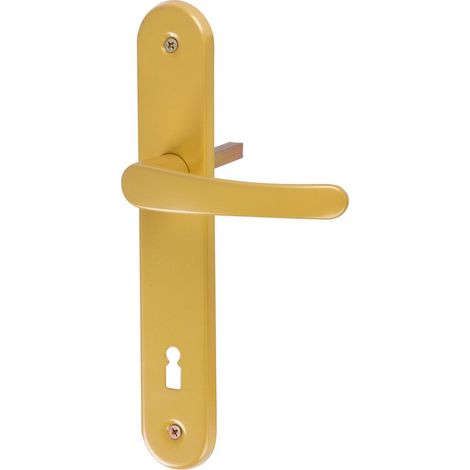 Türgriff MagicHome Manuela K72, golden