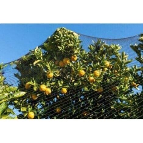 Noir (maille 5 cm x 5 cm) Taille 7.5X15 m Filet pour oiseaux, filet robuste pour oiseaux, filet pour poulailler, filet pour oiseaux, filet de protection pour légumes et fruits (1/3)