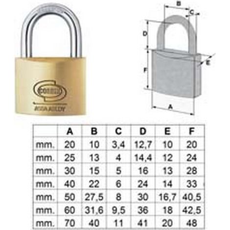 12PZ LUCCHETTO OTTONE ARCO NORMALE PRIUM PL110 - mm.30 (PL1103000)