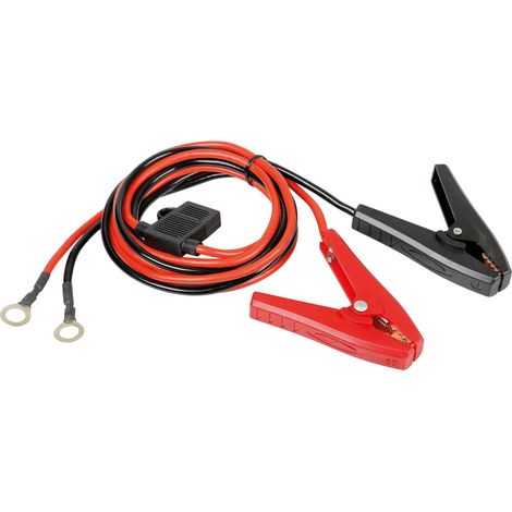 Pole extensions, set cavetti connessione batteria (1/5)