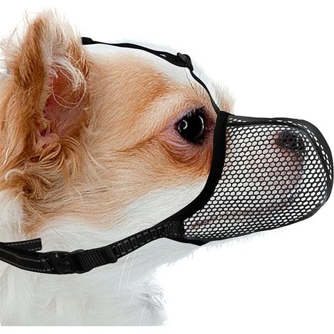 Chien muselière pour très petits chiens empêcher aboiements morsures mâchouillements réfléchissante ajustable panier muselière (1/5)