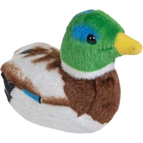 Mascotte de canard colvert avec son