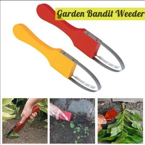 Lot de 2 outils de jardinage portatifs – Désherbeurs manuels  Dimensions : 240 mm x 55 mm (1/5)